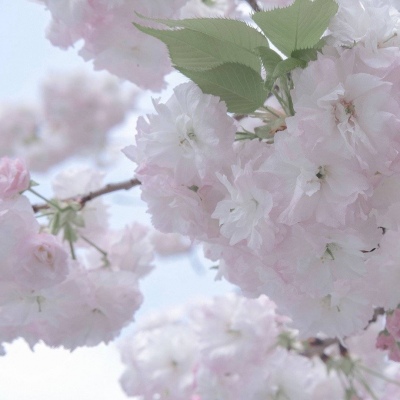 新兴FurryQQ群介绍